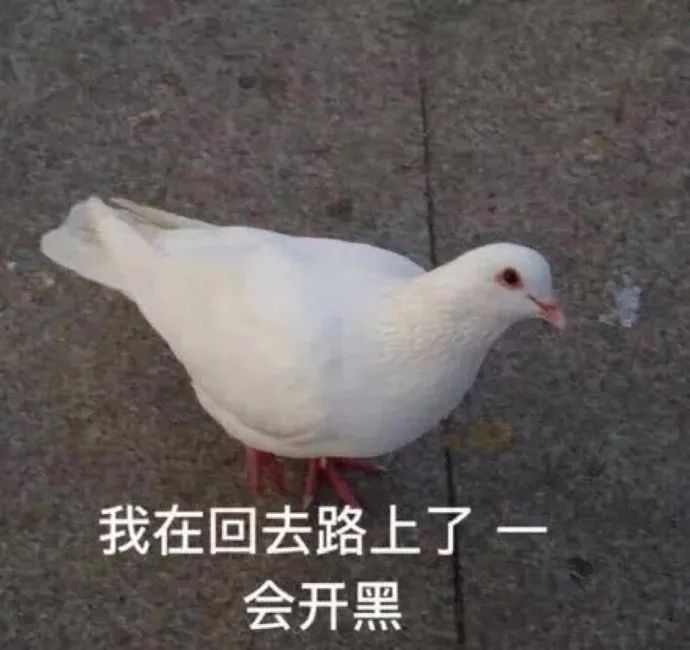 表情包好烦哼哼哼