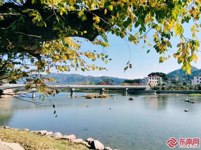 图赏莆田涵江萍湖村荡舟赏黄叶入眼皆风景