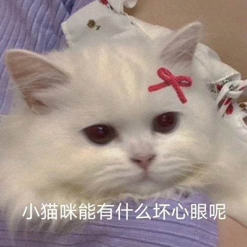 你值得拥有的可爱沙雕动物表情包