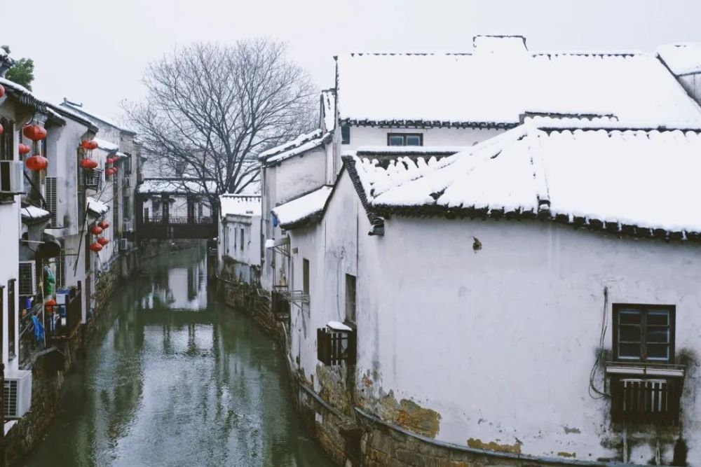 亲眼见证一次落雪的苏州城这个冬天才算是完整