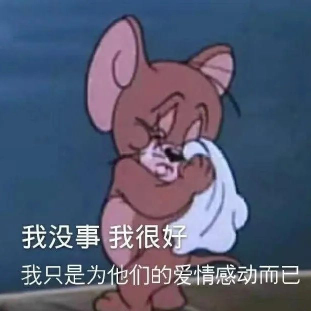 磕cp表情包