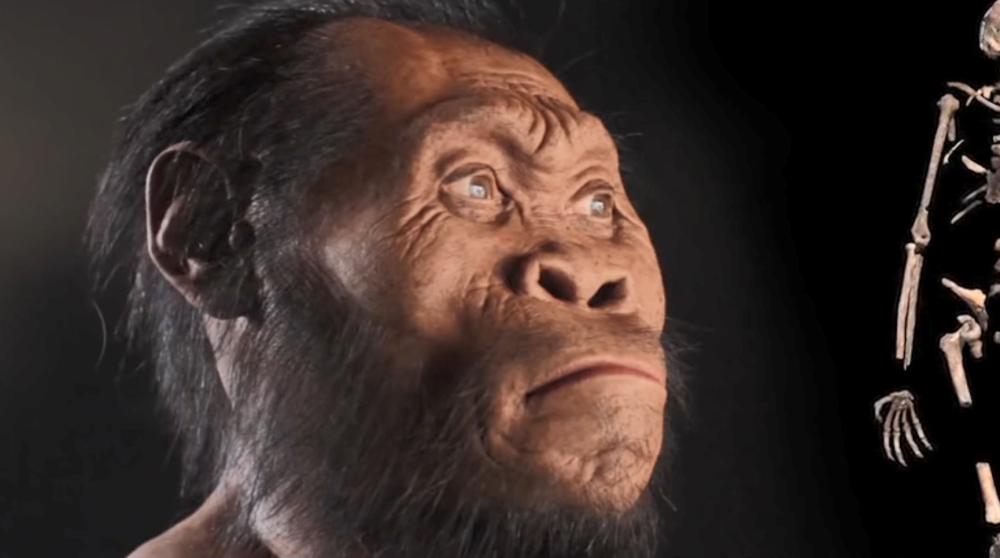 世界上第一个原始人长什么样子?怎么有的人类