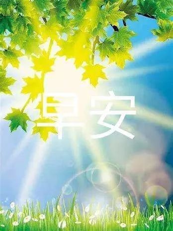 2021朋友圈最走心的早安心语,精致唯美