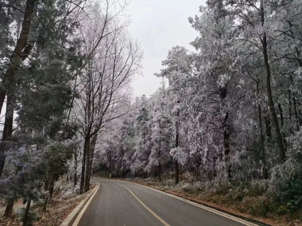 北部客运站下雪,最强寒潮来袭!昆明准备好了吗