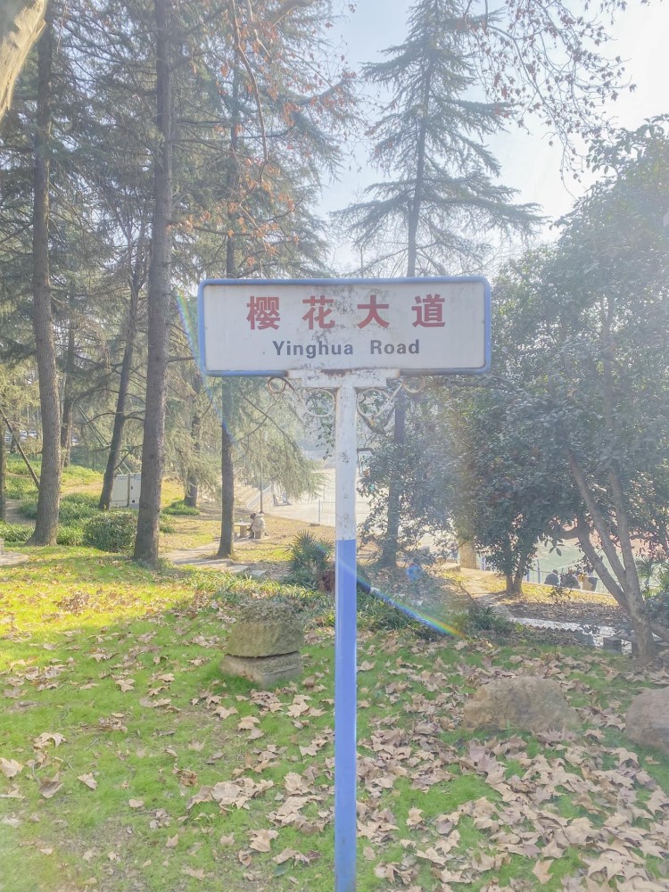 武汉大学游玩最佳路线攻略|内含景点介绍