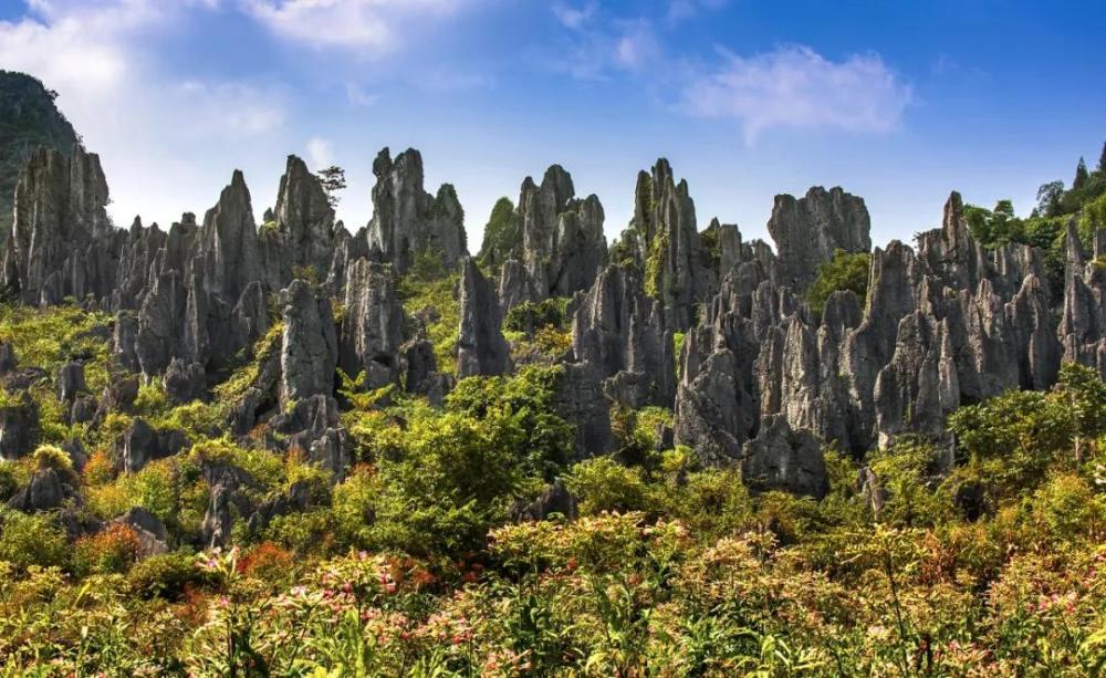 贵州旅游|兴义最值得去的4大景区,你都去过了吗?