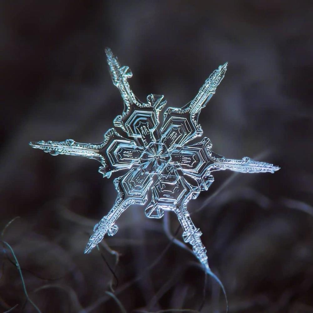 户外的雪景很美,可是显微镜下面的雪花更具有特色,美翻了