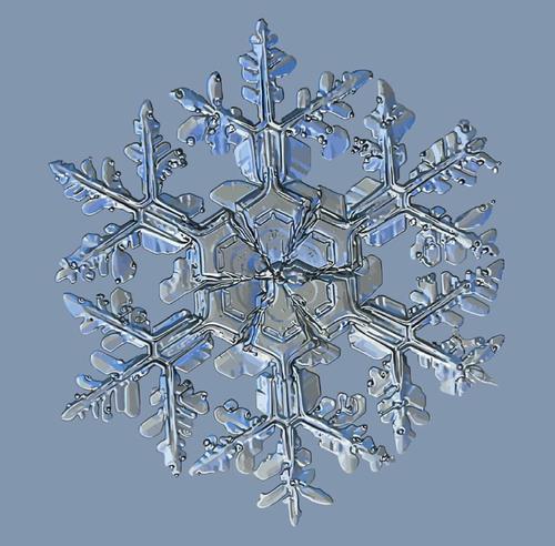 户外的雪景很美,可是显微镜下面的雪花更具有特色,美翻了