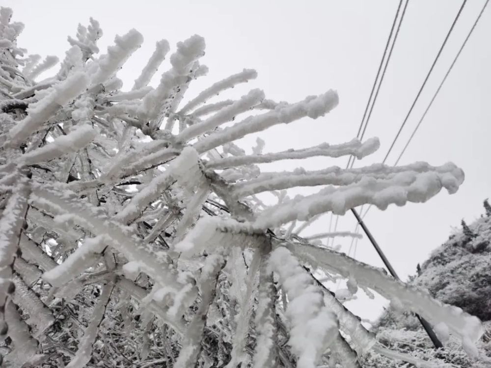 息烽下雪了!一大波雪景图来袭