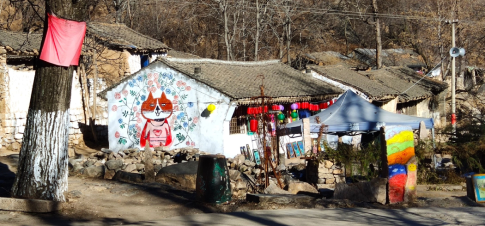 后来,她跟周合伟学了画画,靠卖画赚到了钱,就开始在"猫村"到处涂鸦.