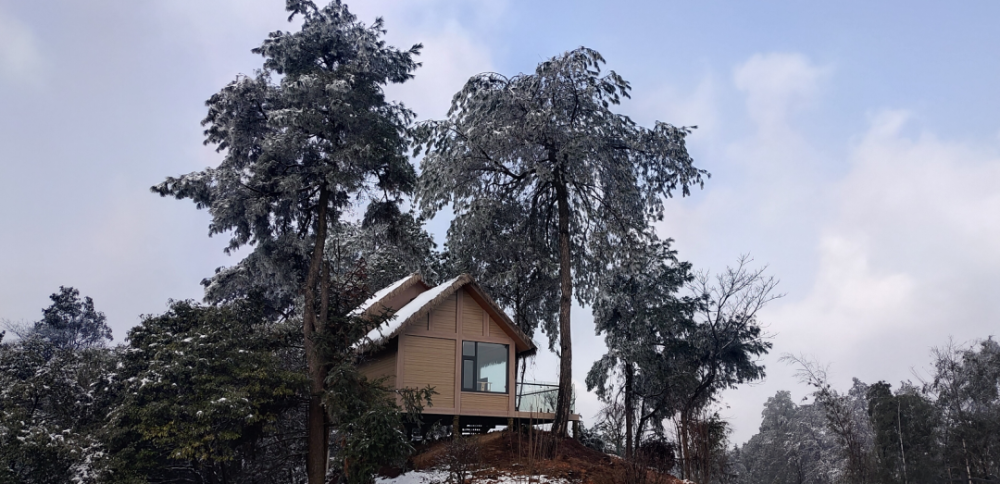 美翻了!雪后的合江金龙湖,玉兰山,美得像童话世界