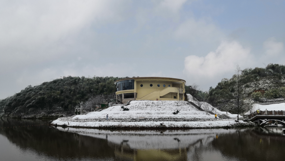 美翻了!雪后的合江金龙湖,玉兰山,美得像童话世界