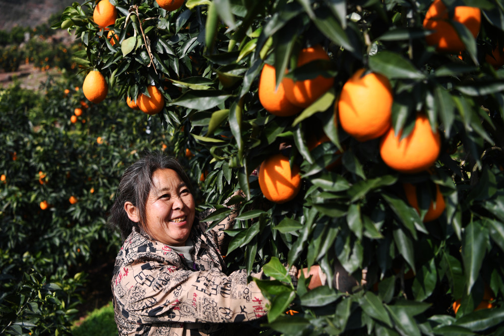 重庆2021年1月份GDP_2021年1月份潮汐表图(3)