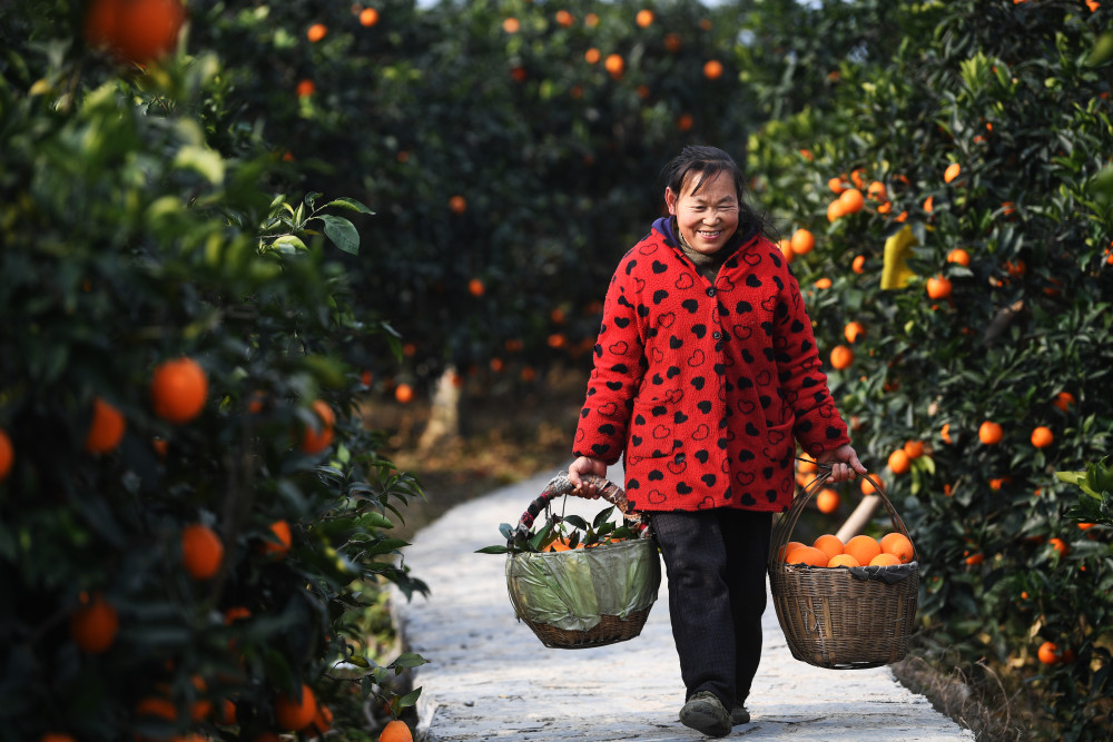 重庆2021年1月份GDP_2021年1月份潮汐表图(3)