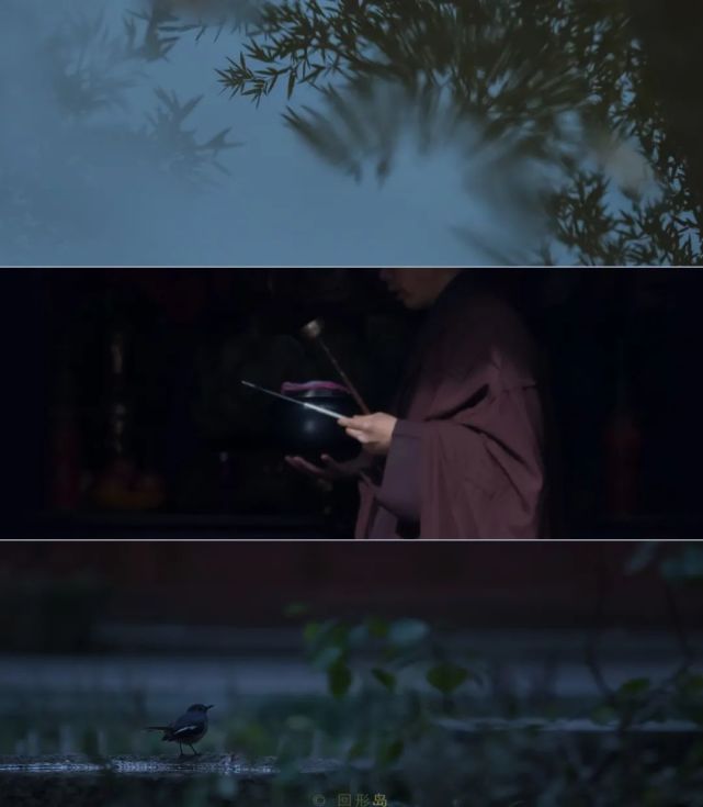 一念,临安,性空山.