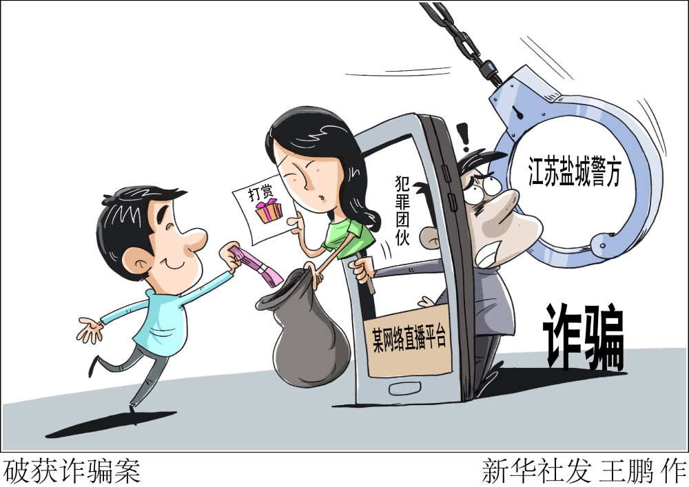 (图表·漫画)【法治】破获诈骗案