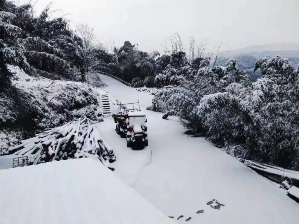 专辑宜宾这些地方的雪景太美了