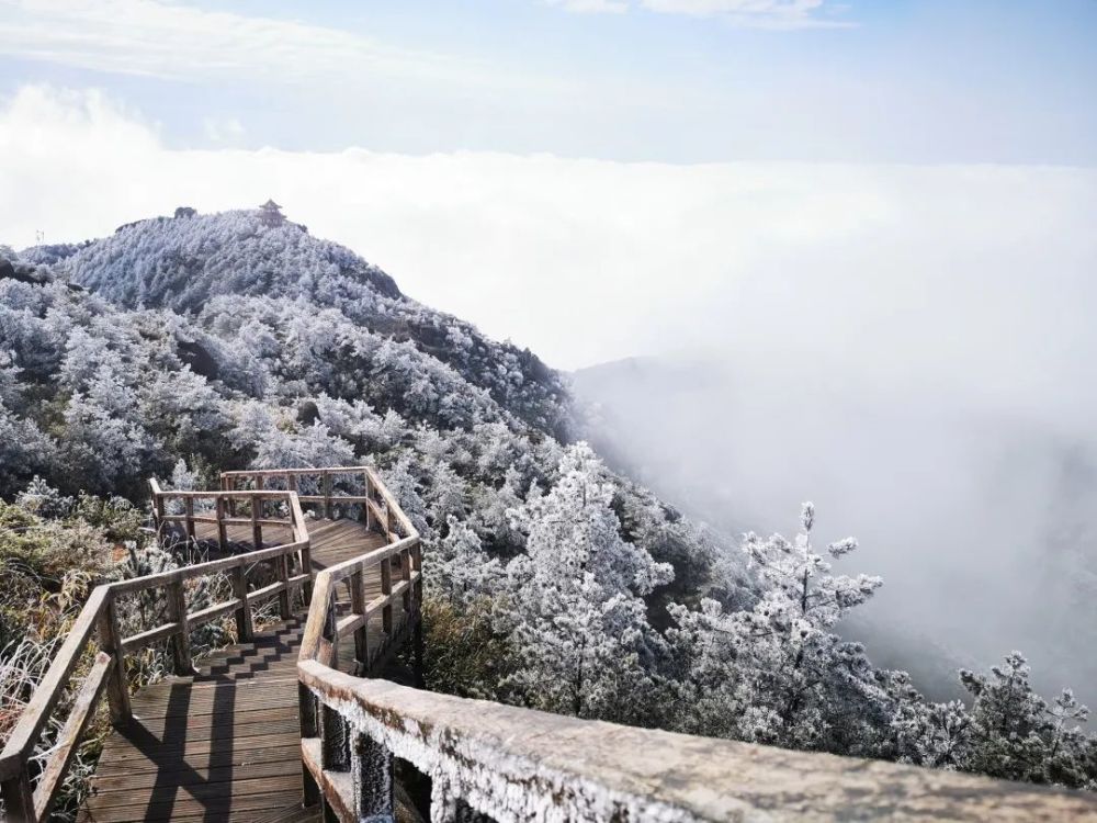 德化九仙山又下雪了!下周德化天气将……太刺激了!