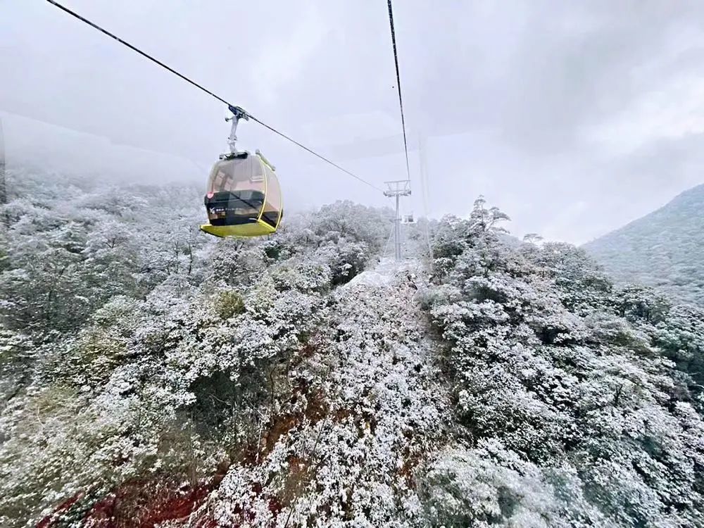 德化九仙山又下雪了!下周德化天气将……太刺激了!