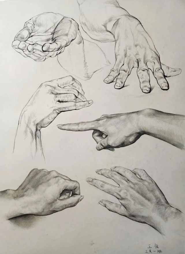 此次课程分为大师经典素描临摹研究,手部写生研究,人物半身肖像写生三