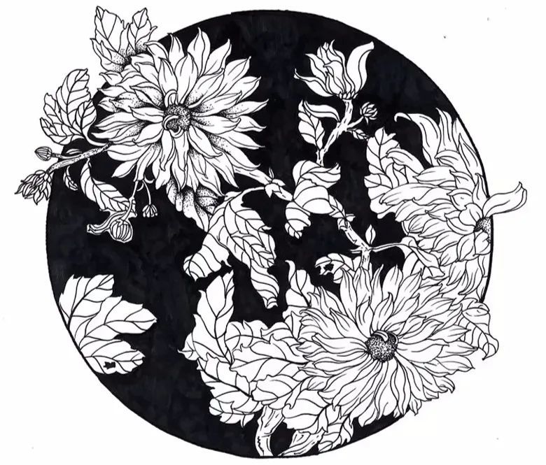 将植物花草画成黑白线描装饰画,漂亮|线描