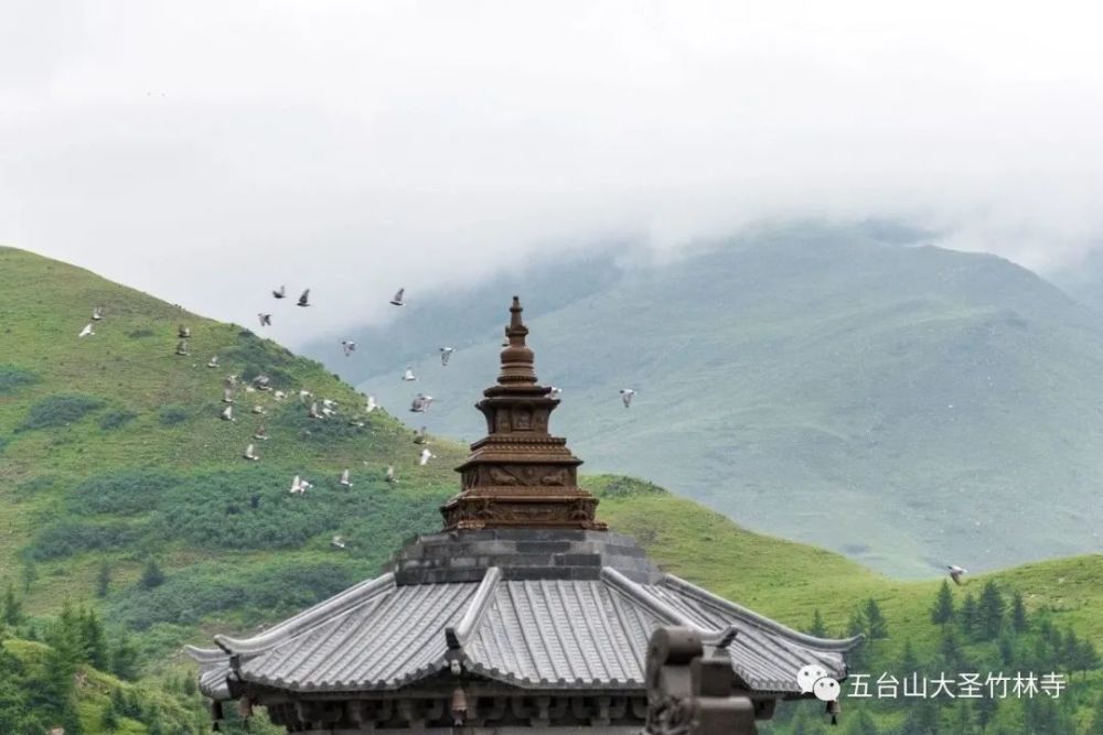 妙江妙法 | 五台山一沙一石,一草一木都是菩萨的化身