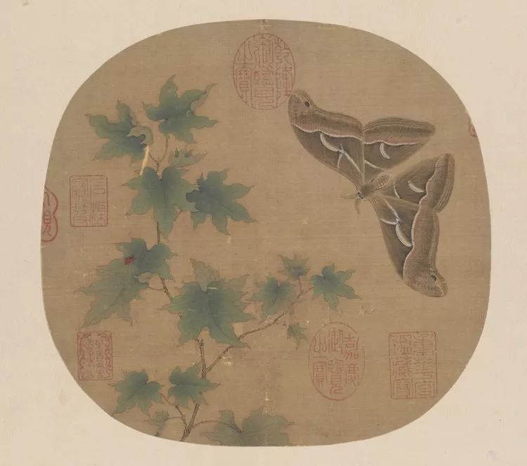 "格物致知的典范"宋人小品中的花鸟画(高清原图发放)