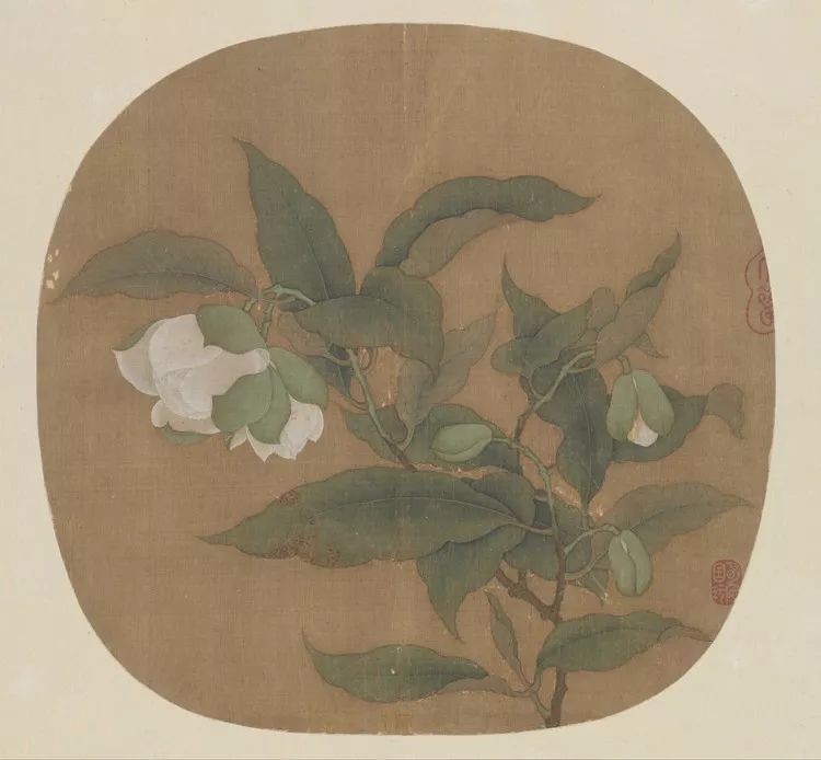 格物致知的典范宋人小品中的花鸟画高清原图发放