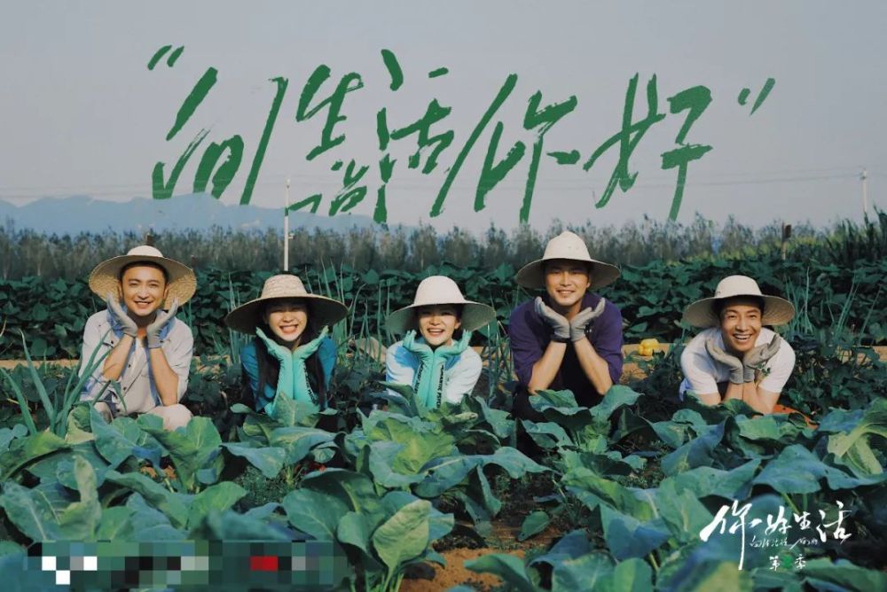 《你好生活》第二季剧照