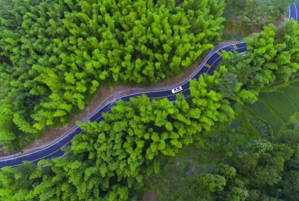 近日 湖南省首届"最美农村公路" 评选结果出炉!