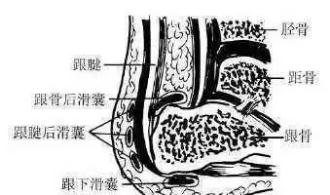 【详解】常见足跟痛的诊断与治疗要点汇总