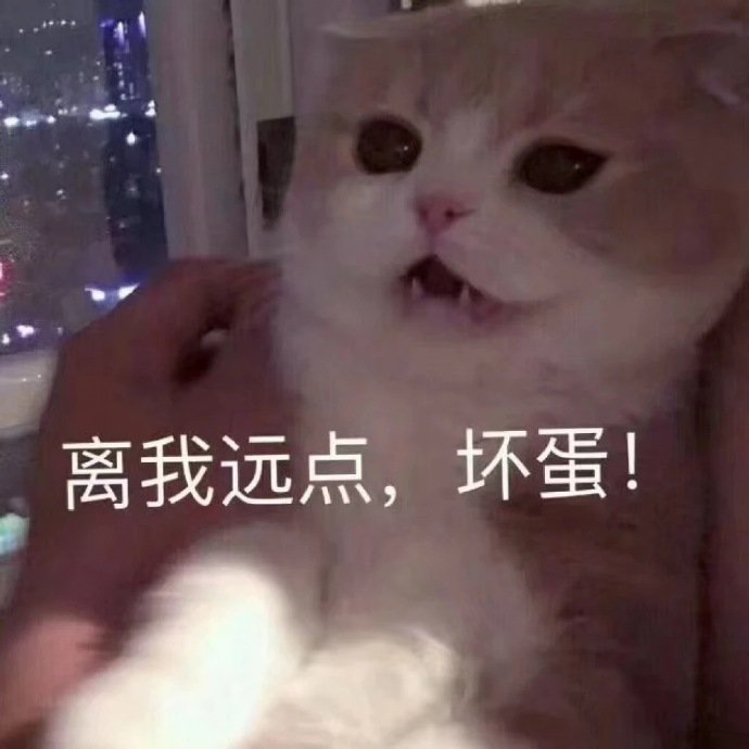 表情包离我远点坏蛋