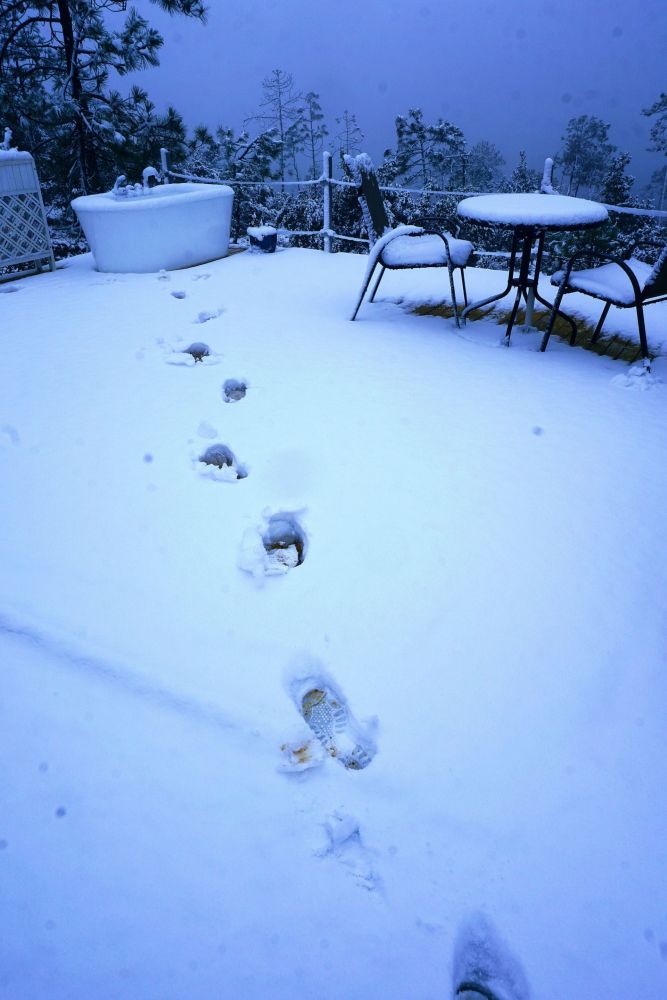 这里有丽江最美雪景图让你一次看个够