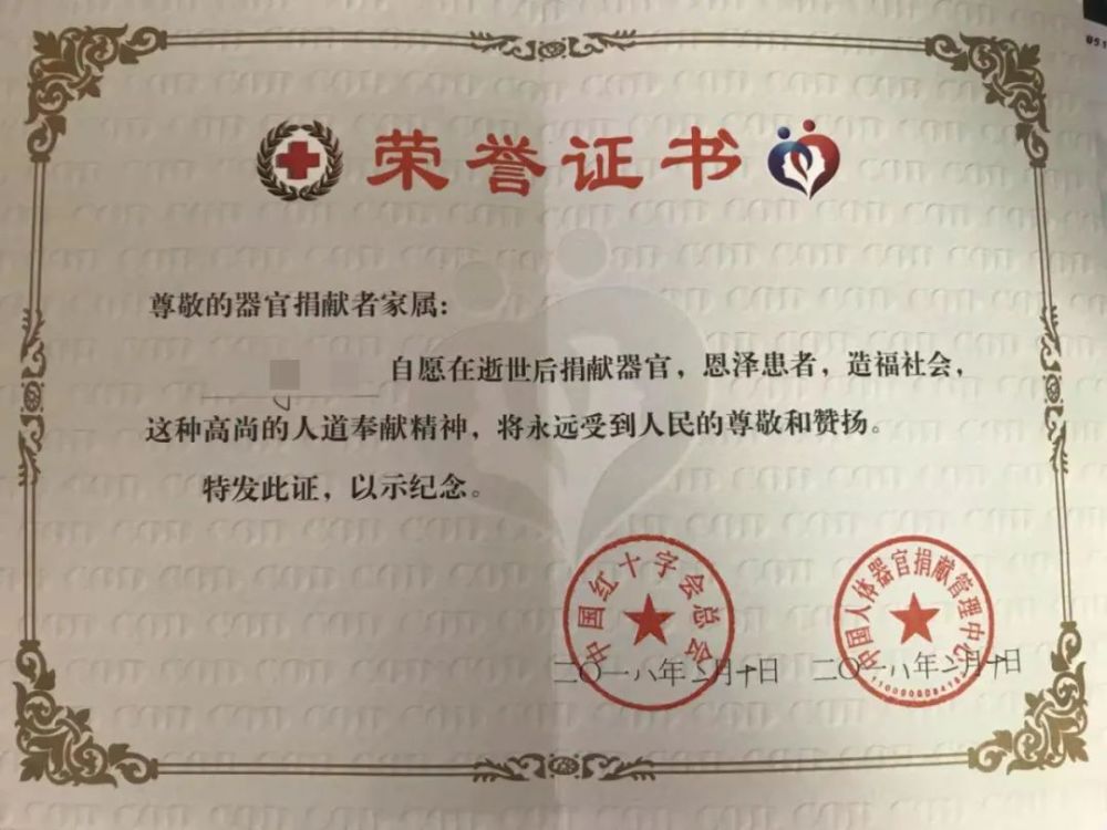 捐出兒子器官后,41歲的失獨家庭挑戰試管續夢(圖1)