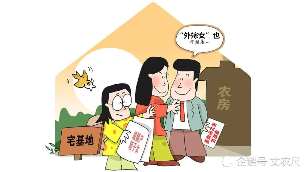 "血缘"决定继承?新规下,宅基地继承有变,外嫁女是重点