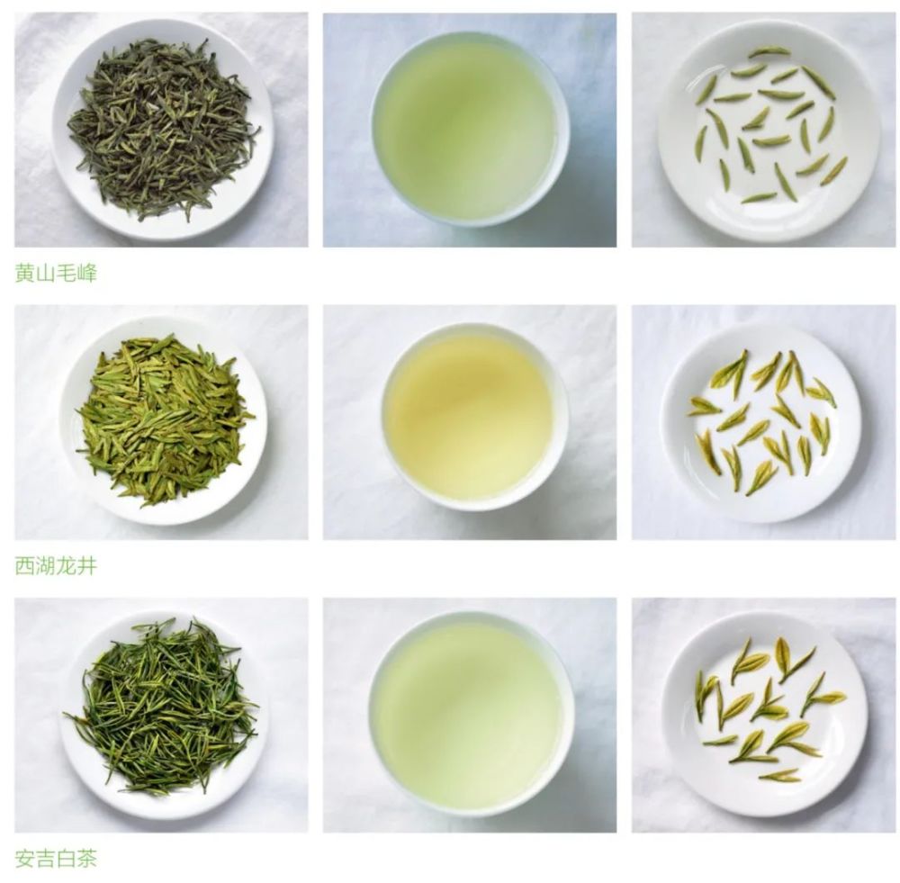 茶科普|六大基本茶类—绿茶
