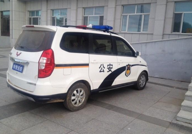 国内警车"大换血":贵州换五菱,深圳清一色沃尔沃,广西最低调