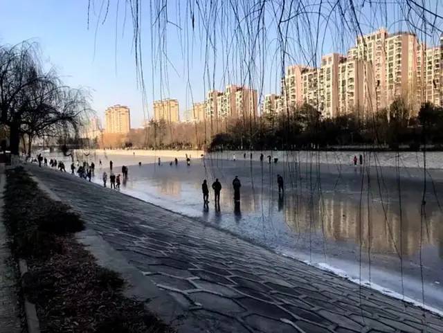 沛县有多少人口_沛县风景
