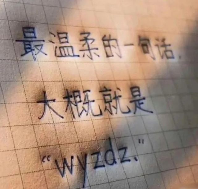 沙雕图|我一直都在