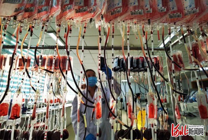 王育民人口_人口普查