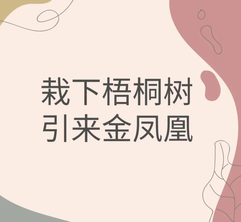 叶梧桐,名字是'栽下梧桐树,引来金凤凰'娶个贤惠的娘子是金凤凰,学来