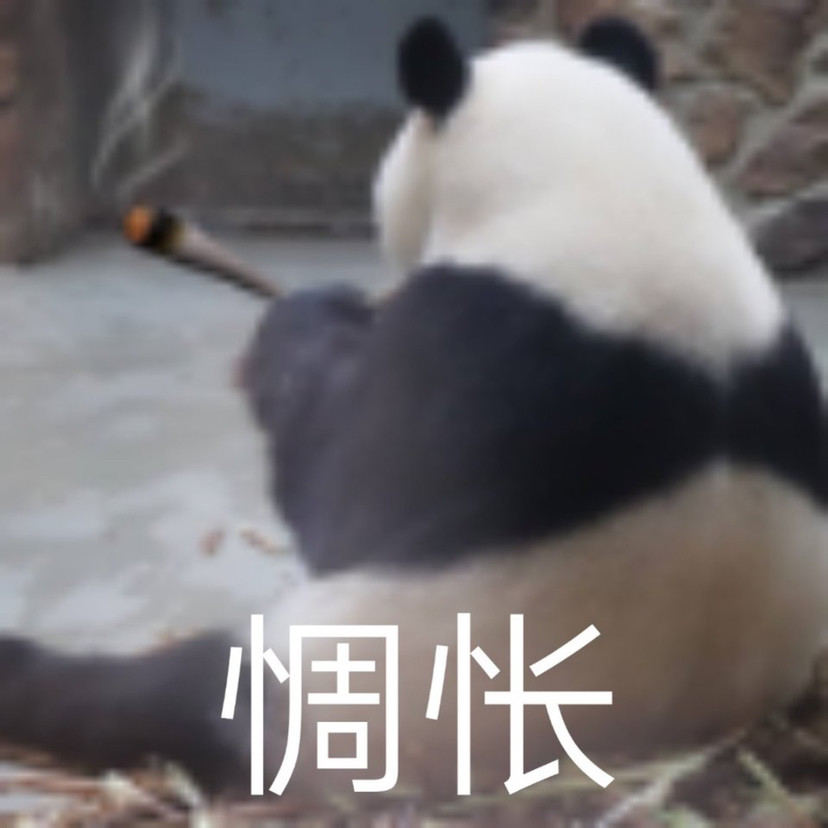 一组小熊猫表情包 可爱