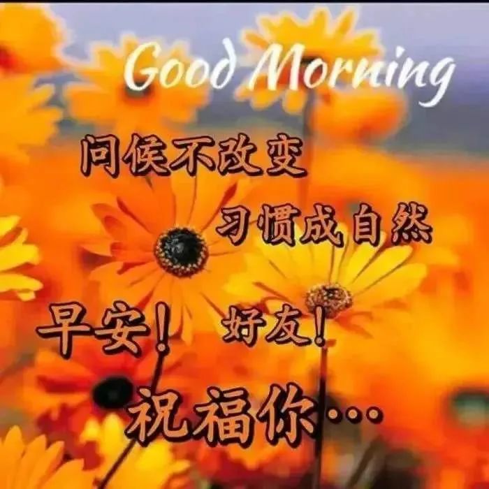 1月13日清晨早上好问候漂亮图片温馨祝福语,早安超暖心的祝福短信