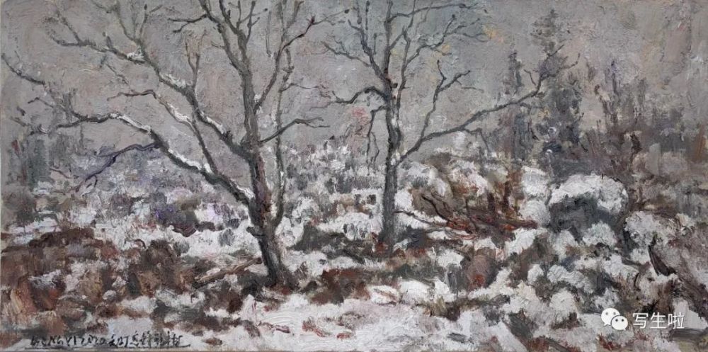 《雪景之二》 40x80cm  布面油画   2020年