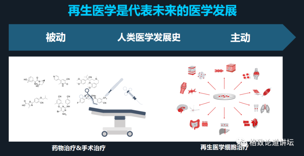 在未来再生医学能够对我们身体零件进行直接的更换