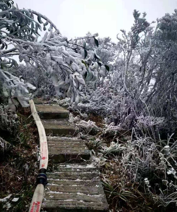 跌破-5!广东多地加入"下雪"群聊!连广州都下雪了?