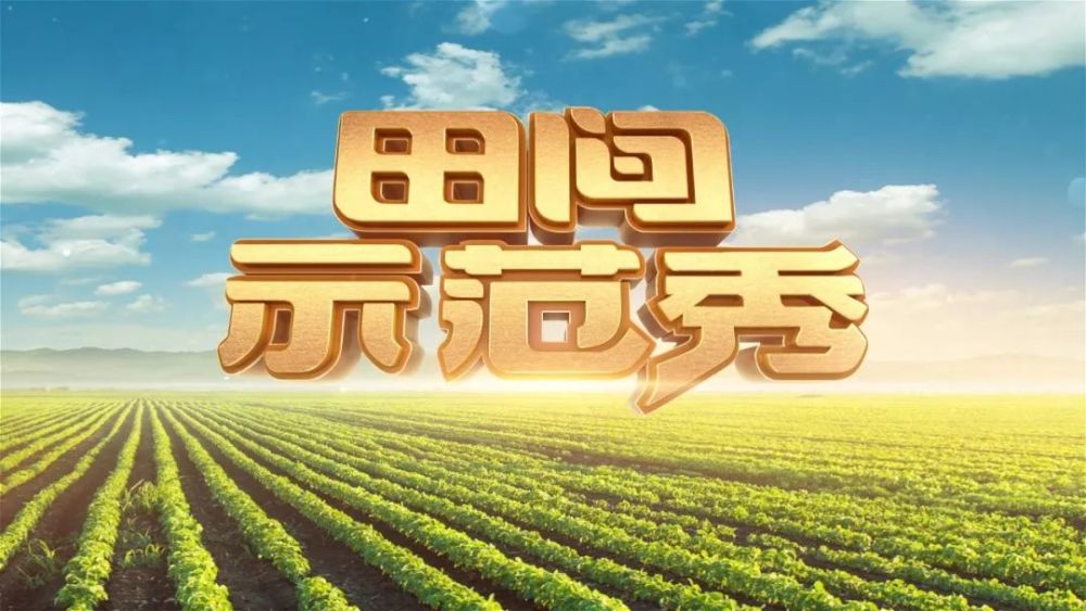 cctv-17《田间示范秀》栏目介绍