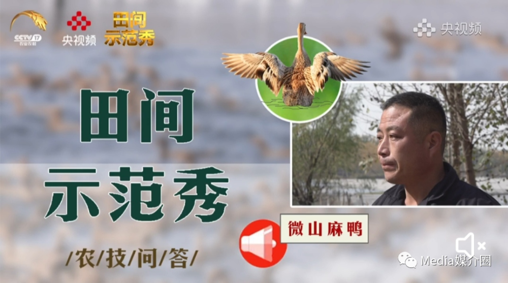 cctv-17《田间示范秀》栏目介绍