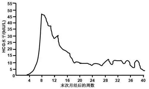 孕期hcg的翻倍传说:hcg翻倍有规律,单胎双胎各不相同!