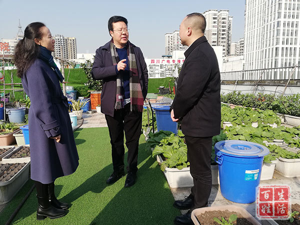 青羊区委巡视员一行调研区心理健康教育工作